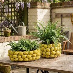 Reactive Glaze Layered Lemon Ceramic Dish Collection