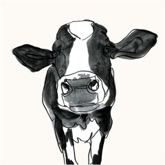 Ready For My Close Up Cow Art
