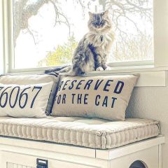 Reserved For The Cat Accent Pillow