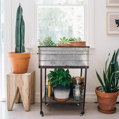 Rolling Metal Bucket Planter With Stand