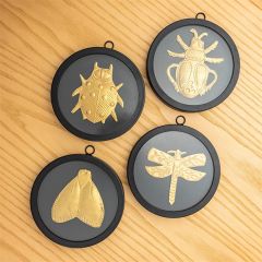 Round Black Framed Brass Insect Set of 4