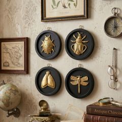Round Black Framed Brass Insect Set of 4