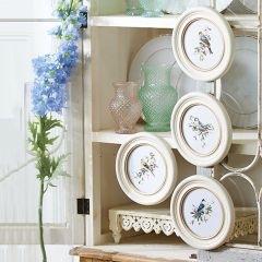 Round Framed Bird Print Set of 4