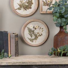 Round framed Pressed Flower Wall Decor One of Each