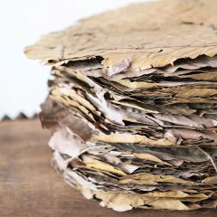 Round Pattal Leaf Placemat Set of 48