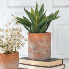 Round Weathered Cement Planter Pot