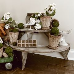 Rounded Tiered Wood Plant Stand