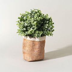 Rustic Cement Pot