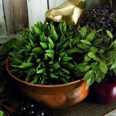 Rustic Copper Metal Planters Set of 4