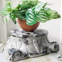 Rustic Display Stand