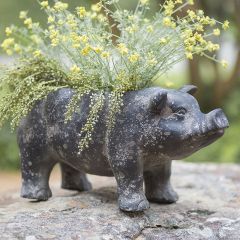 Rustic Farmhouse Piggy Planter