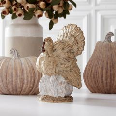 Rustic Farmhouse Turkey on Pumpkin Figure