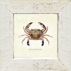 Rustic Framed Crab Colorful Wall Art