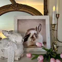 Rustic Framed Floppy Ear Bunny Wall Art