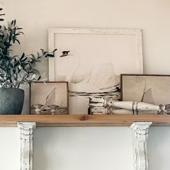 Rustic Framed Mute Swans Wall Art