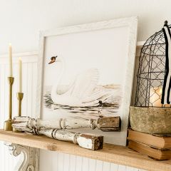 Rustic Framed Mute Swans Wall Art