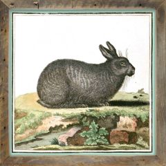 Rustic Framed Vintage Grey Bunny Wall Art