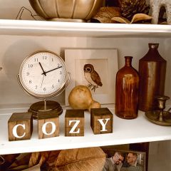 Rustic Framed Vintage Owl Wall Art