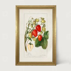 Rustic Framed Vintage Strawberries Wall Art