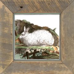 Rustic Framed Vintage White Bunny Wall Art