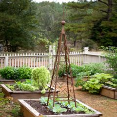 Rustic Garden Pyramid Trellis