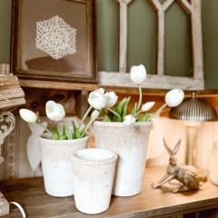 Rustic Greenhouse Pot Set of 3