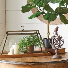 Rustic Industrial Tabletop Terrarium