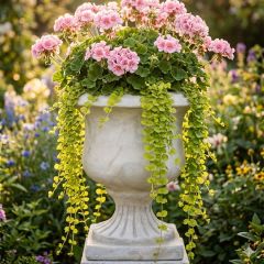 Rustic Terracotta Pancia Garden Urn
