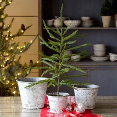 Rustic Whitewash TIn Pot Set of 3