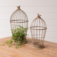 Rusty Metal Birdcage Set of 2