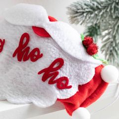 Santa Beard Holiday Face Mask