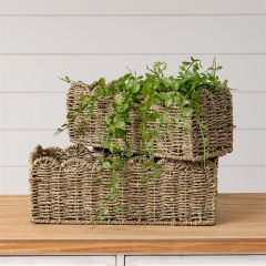 Scalloped Edge Seagrass Basket Set of 2
