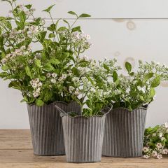 Scalloped Rim Metal Bucket Set of 3