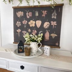 Scientific Botanical Wall Chart Scroll