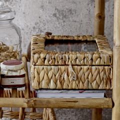 Seagrass and Glass Display Box