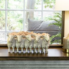 Side By Side Sheep Planter