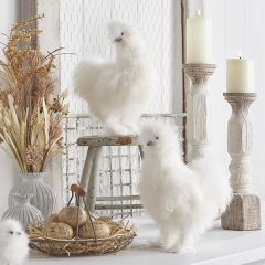 Silky Feathered Chicken Set of 2