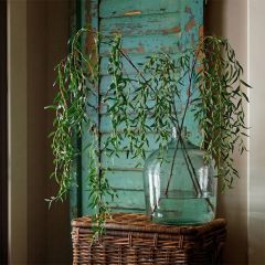 Simple Accents Tall Weeping Willow Branch
