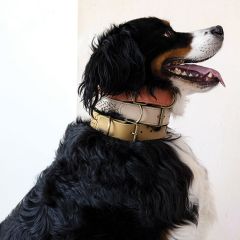 Simple Basics Braided Leather Dog Collar Set of 6