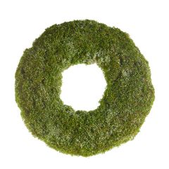 Simple Charms Iced Moss Round Wreath