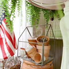 Simple Classics Glass Terrarium