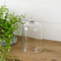 Simple Small Dome Cloche