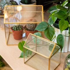 Simply Chic Tabletop Terrarium One of Each