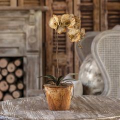 Single Stem Aged Metal Orchid Tabletop Accent