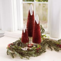 Snow Capped Bottlebrush Tree