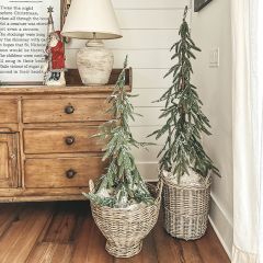 Snow Dusted Evergreen Tree