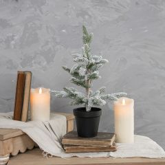 Snow Flocked Potted Pine 16 Inch