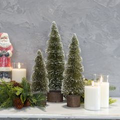 Snowkissed Green Spiral Bottlebrush Tree Set of 3