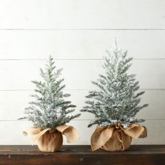 Snowy Evergreen In Burlap Wrapped Pot
