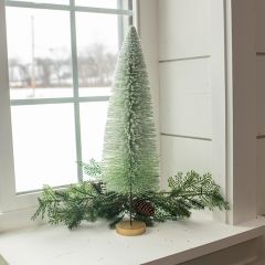 Snowy Green Ombre Bottlebrush Tree 20 Inch